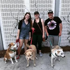 Meet your Posher, Morgan